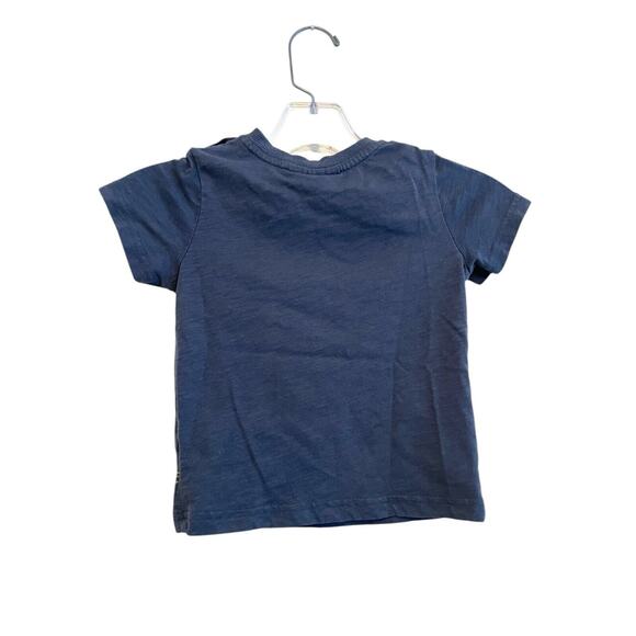 Jarvis Archer Chameleon‎ T-shirt Toddler Size 3T Gray Animal Lizard Embroidered - Picture 2 of 4